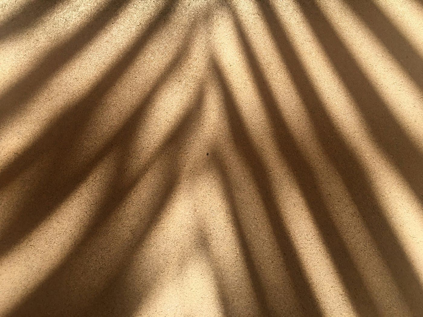 Ombres de palmes sur un mur ensoleillé